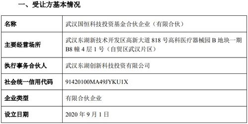 華工科技股份轉(zhuǎn)讓取得新進展 國恒基金通過受讓審核